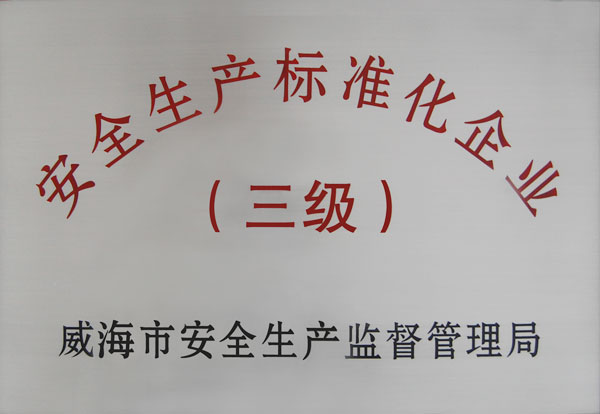 安全生產(chǎn)標(biāo)準化企業(yè)