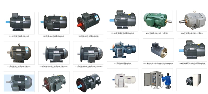 部分高效電機(jī)、特種電機(jī)產(chǎn)品