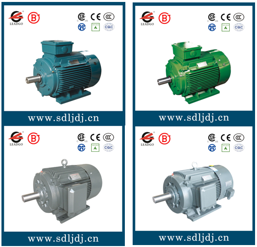 力久高效節(jié)能電機